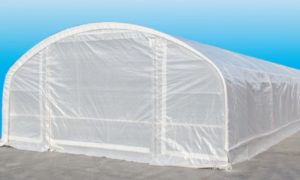 foliovnik 2096